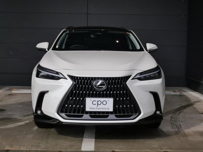 LEXUS NX - 5