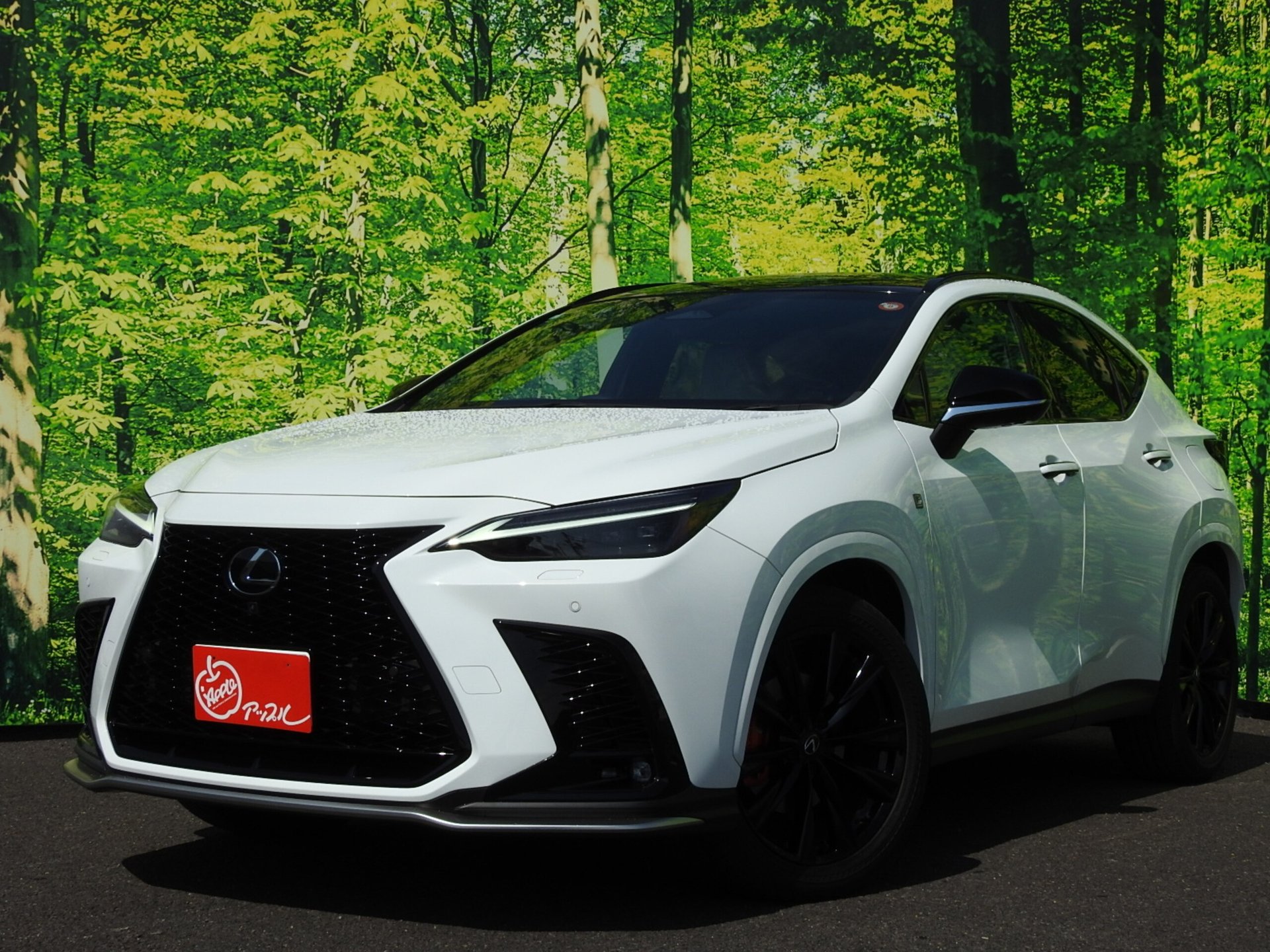 LEXUS NX - View 1