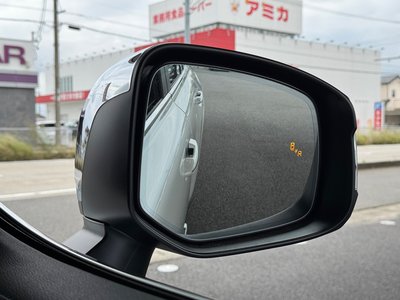 TOYOTA LAND CRUISER 300 - 8
