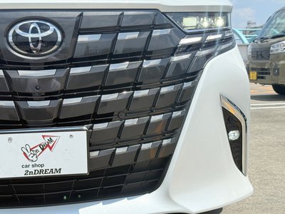 2025 Toyota ALPHARD — миниатюра 17