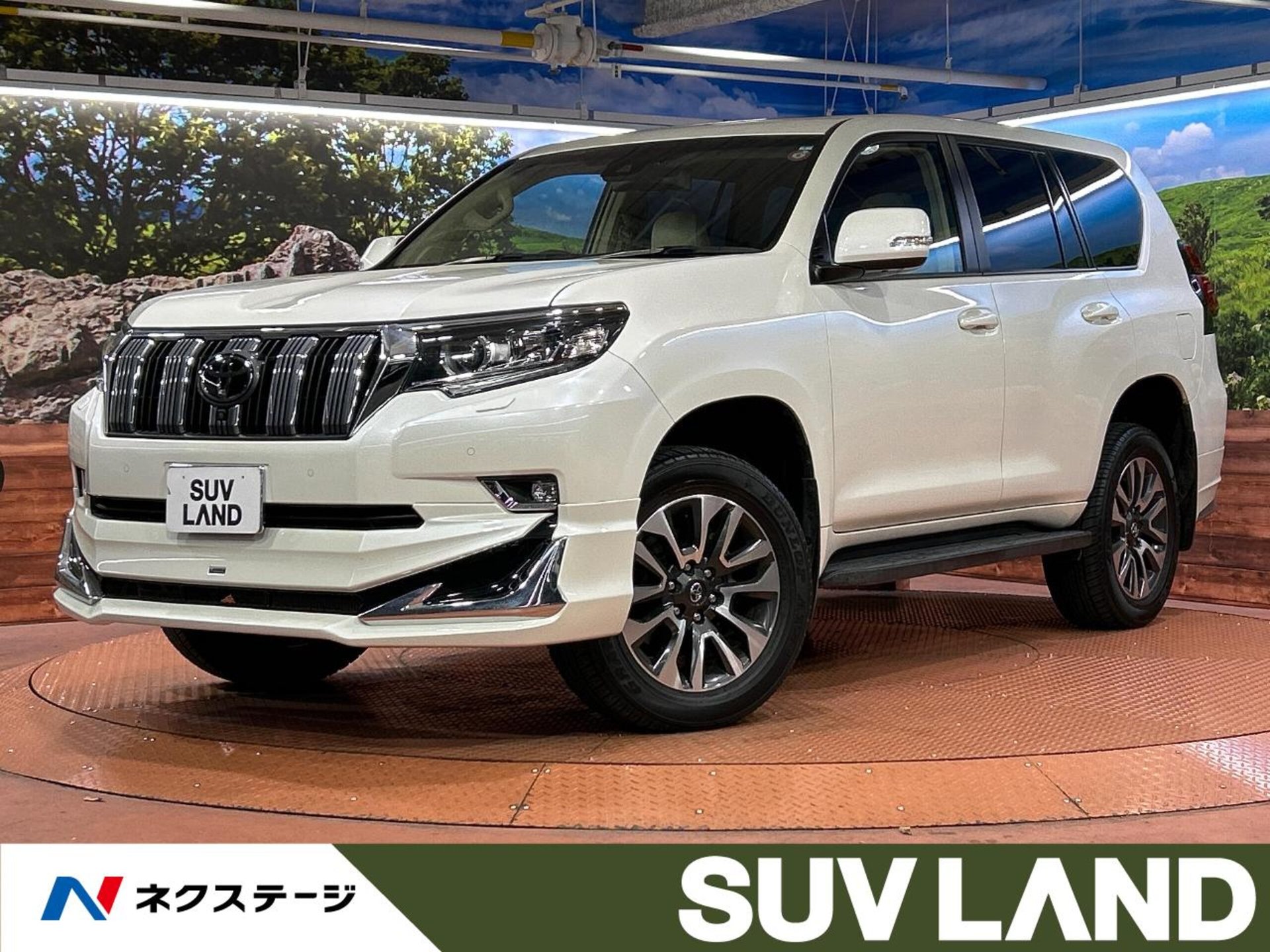 TOYOTA LAND CRUISER PRADO - View 1