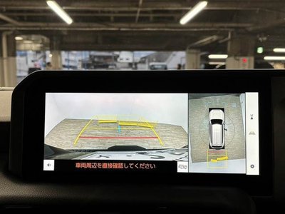 TOYOTA LAND CRUISER 250 - 4