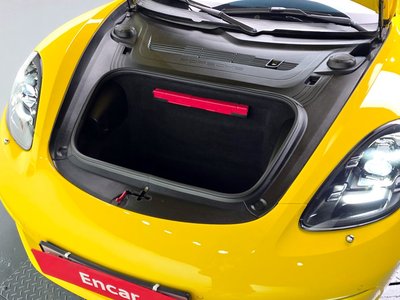 2016 Porsche 718 photo 7
