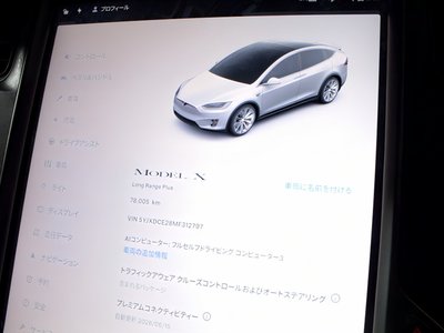 2020 Tesla MODEL X — фото 10