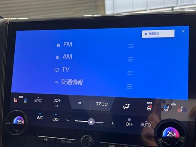 2023 Toyota ALPHARD — миниатюра 35