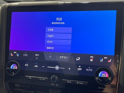 2023 Toyota ALPHARD — миниатюра 33