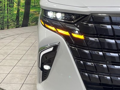 2023 Toyota ALPHARD — миниатюра 13