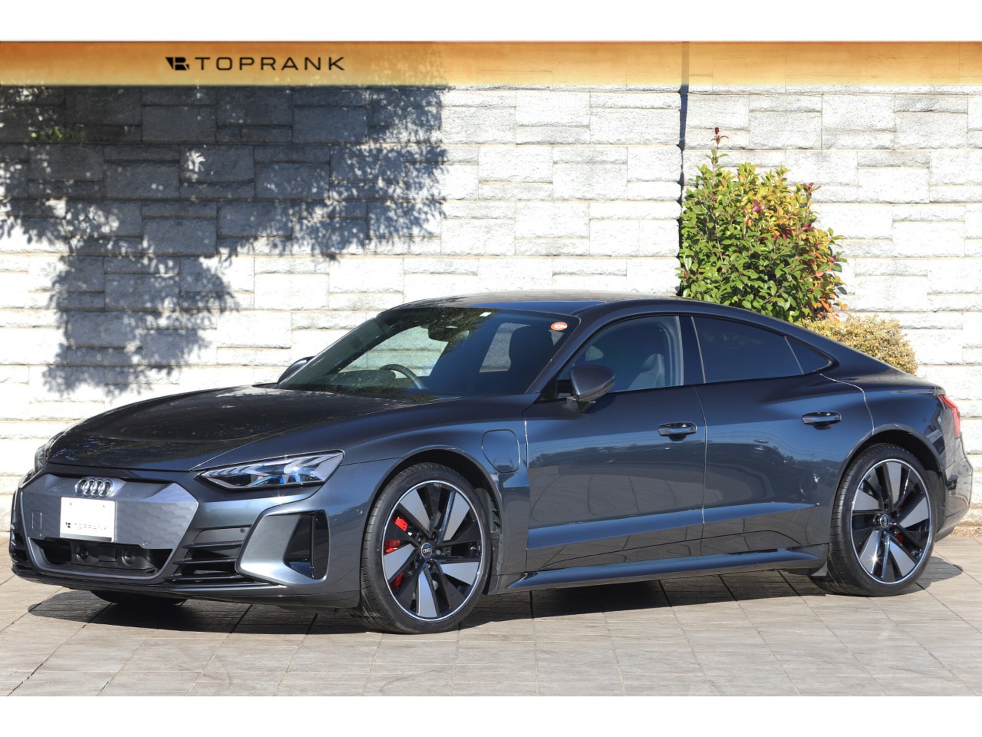 AUDI E-TRON GT QUATTRO - View 1