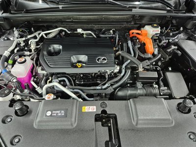 2025 Lexus NX 照片 7