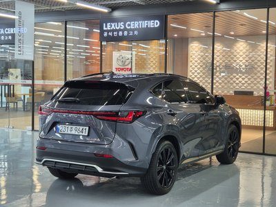 2025 Lexus NX 照片 4