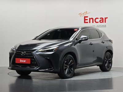 LEXUS NX - 1