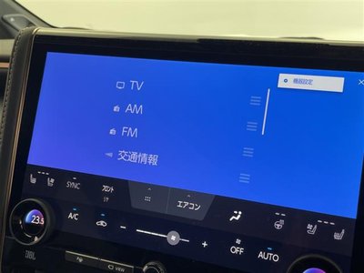 2025 TOYOTA ALPHARD — фото 3