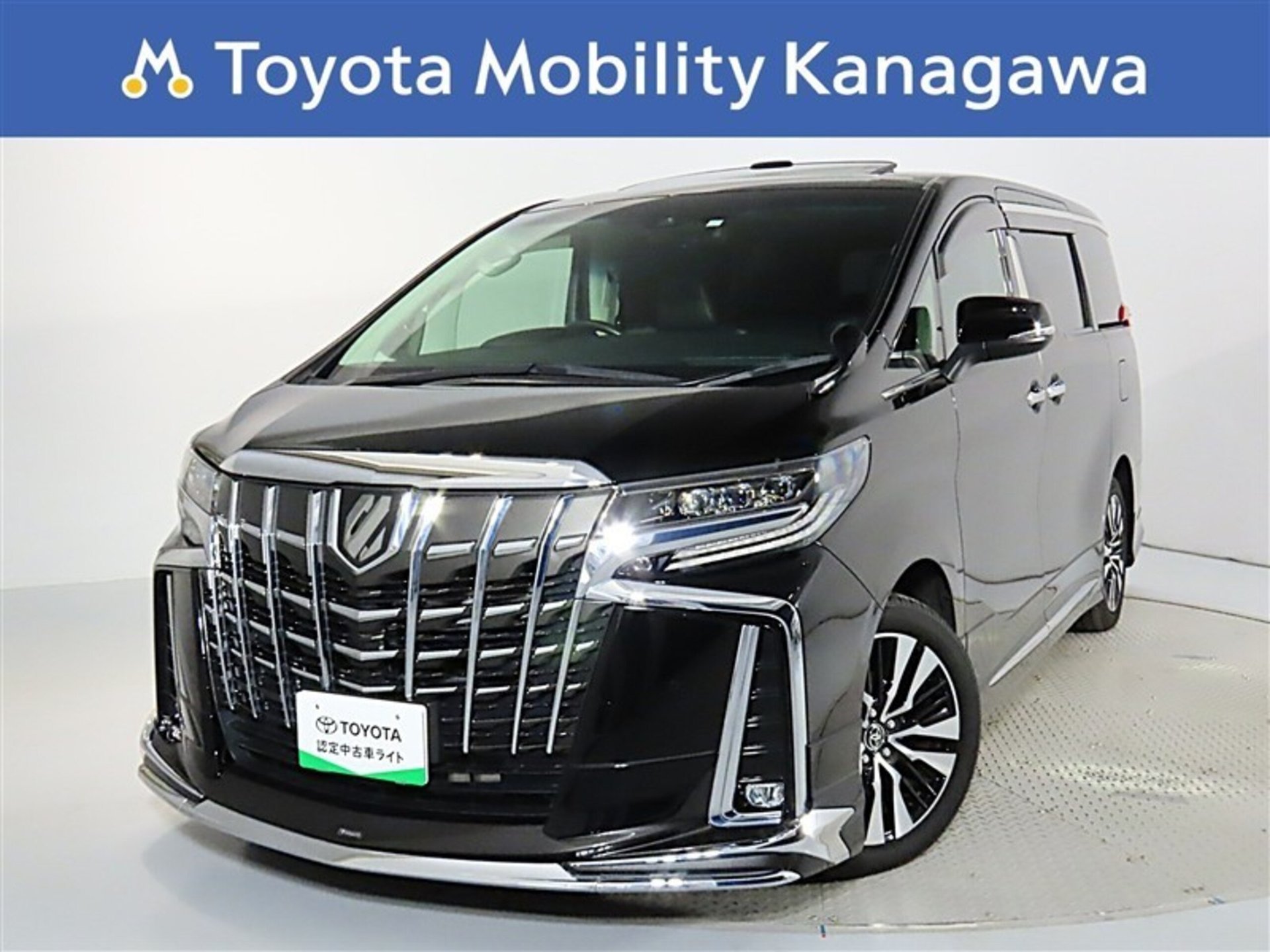 TOYOTA ALPHARD - View 1