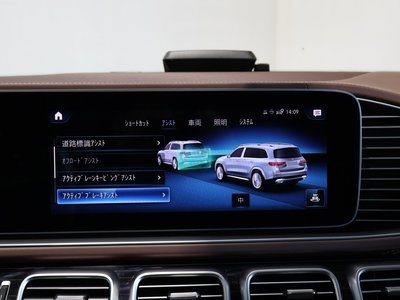 MERCEDES-BENZ GLS MAYBACH - 10