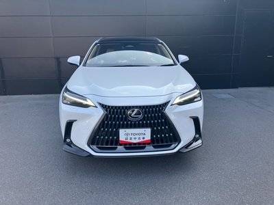 LEXUS NX - 3