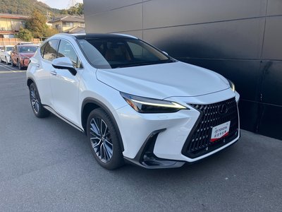LEXUS NX - 7