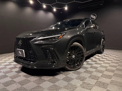 LEXUS NX - 10