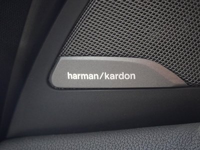 صورة مصغرة 28 لـ 2023 BMW X4