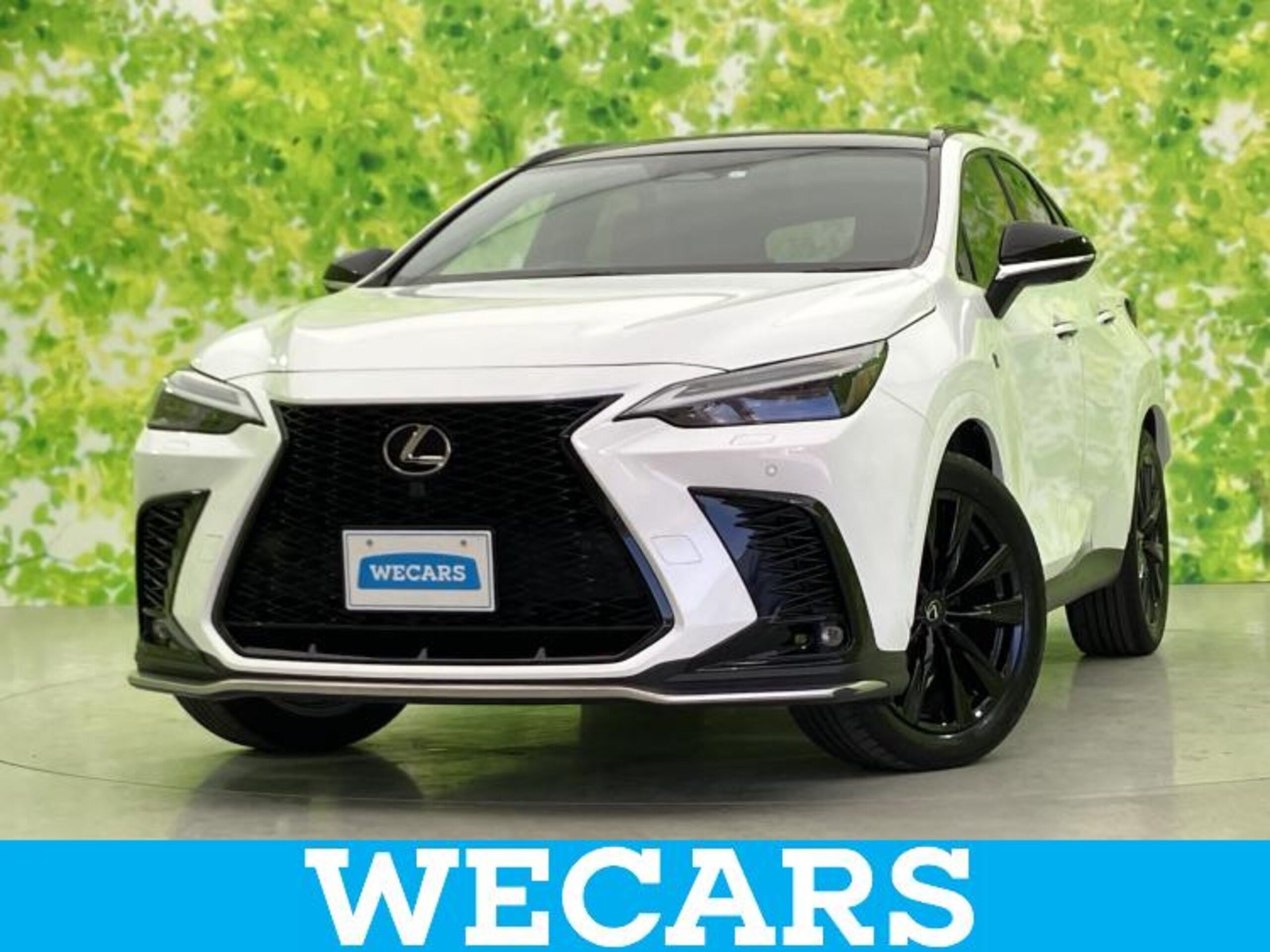 2023 Lexus NX 照片 1