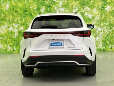 2023 Lexus NX 缩略图 45