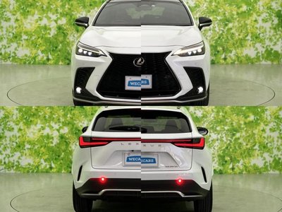 2023 Lexus NX 缩略图 53