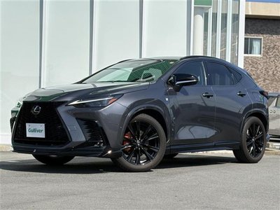 2023 Lexus NX — миниатюра 39
