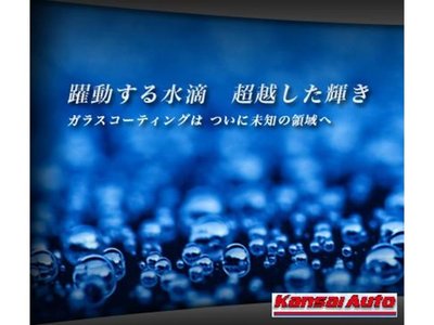2025 Toyota LAND CRUISER 70 缩略图 69
