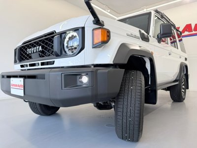 2025 Toyota LAND CRUISER 70 缩略图 47