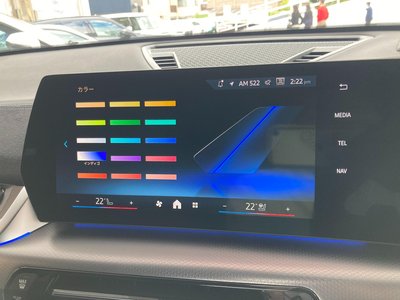 2025 BMW X2 缩略图 95
