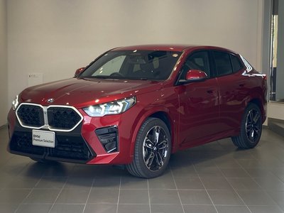 2025 BMW X2 缩略图 98