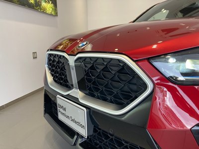 2025 BMW X2 缩略图 65