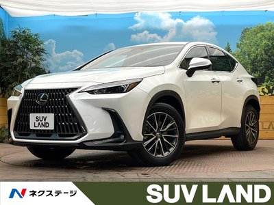 LEXUS NX - 1