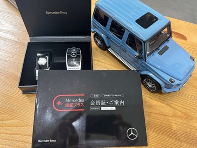 MERCEDES-BENZ G-CLASS - 3