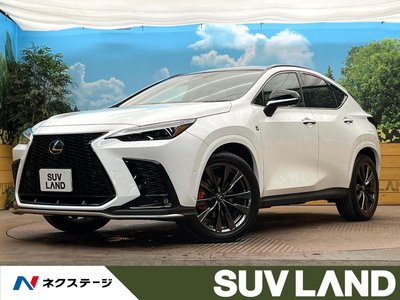 LEXUS NX - 1