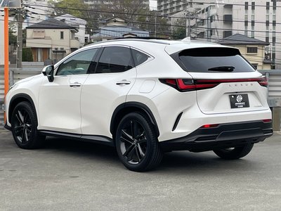 LEXUS NX - 10