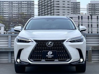 LEXUS NX - 6