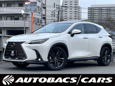 LEXUS NX - 1