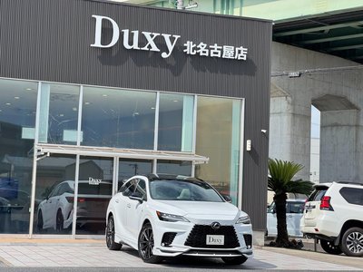 2026 Lexus RX photo 9