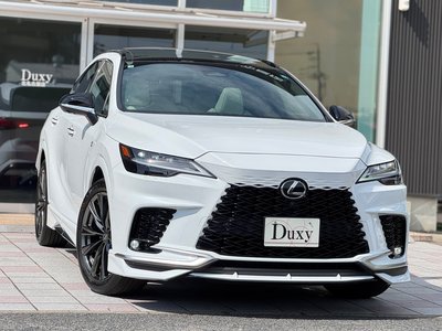 2026 Lexus RX photo 6