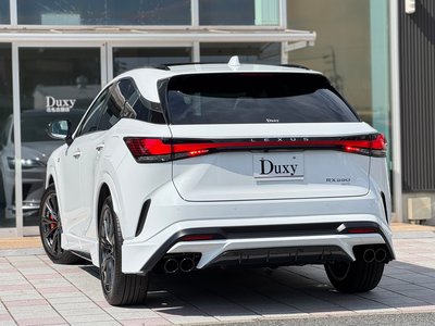 2026 Lexus RX photo 8