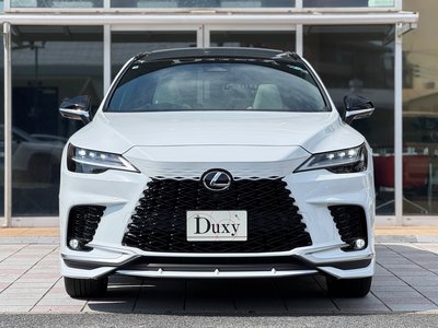 2026 Lexus RX photo 10