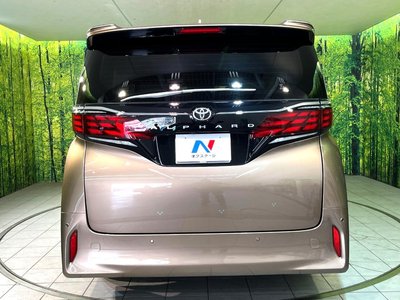 2025 Toyota ALPHARD — миниатюра 15