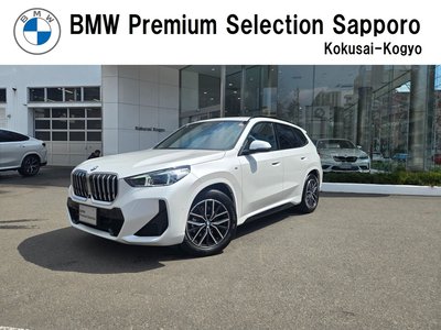 BMW X1 - 1