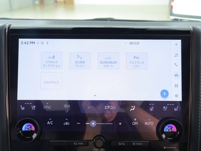 2024 Toyota ALPHARD 缩略图 20