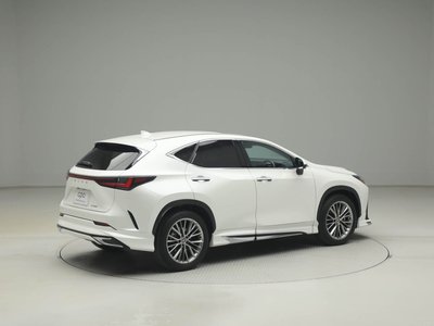 LEXUS NX - 10