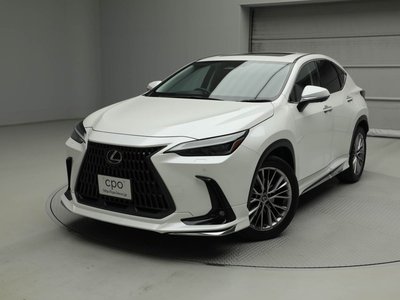 LEXUS NX - 1