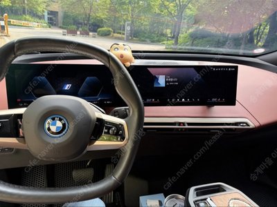 2023 BMW IX 照片 7