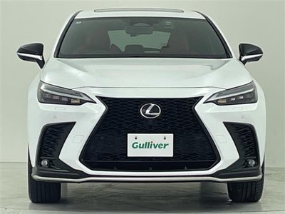 2022 Lexus NX 缩略图 30
