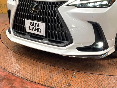 LEXUS NX - 3