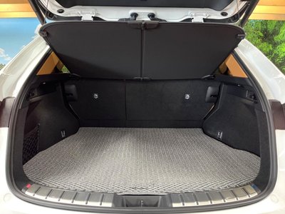 LEXUS NX - 10